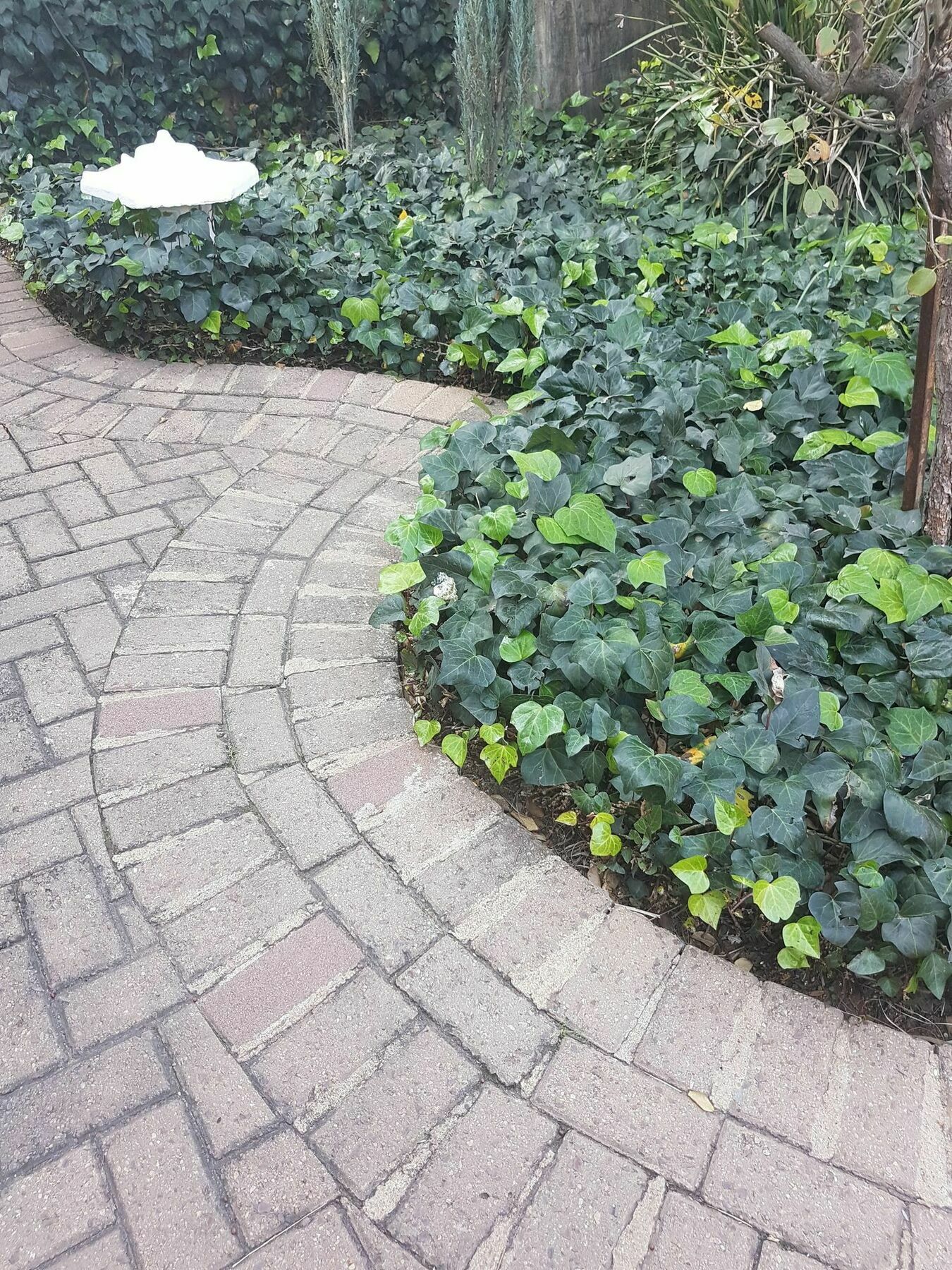 Blue Sparrow Guest House Миделбург Екстериор снимка